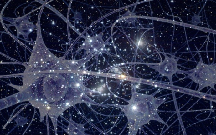 neuroneétoile.jpg